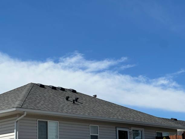 Professional Roofing in Fox Lake, IL